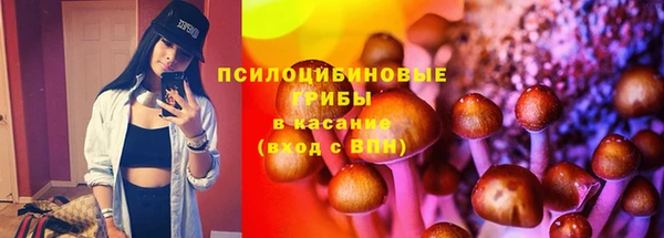 тгк Алексин