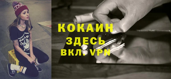 тгк Алексин