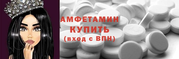 гидра Абаза