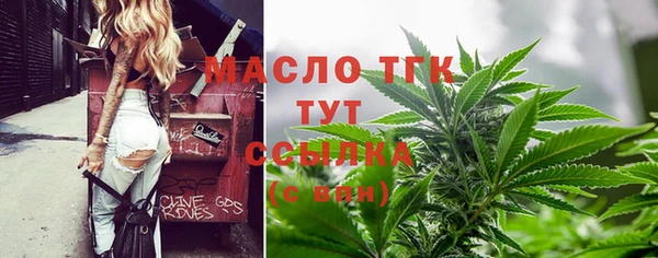 тгк Алексин