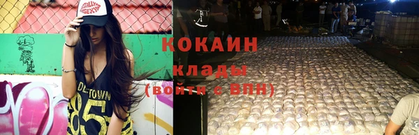 гидра Абаза