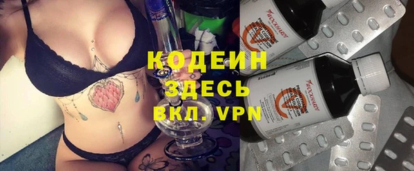 гидра Абаза