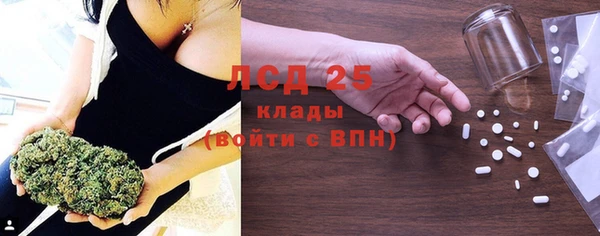 гидра Абаза