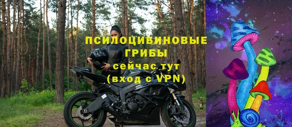 гидра Абаза